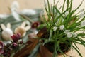 Spring flowers in pot on background of wooden table with easter decor. White muscari blooming in flowerpot close up. Festive Royalty Free Stock Photo