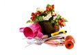 Spring flowers in the pot and garden tools isolated Royalty Free Stock Photo