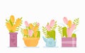 Spring flowers in pots flat vector illustrations set