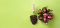 Spring flowers in pots and garden shovel with soil on the green background. Copy space. Top view Royalty Free Stock Photo