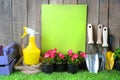 Spring flowers in pots, miniature garden tools and empty blank for copy space Royalty Free Stock Photo