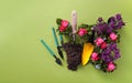 Spring flowers in pots, miniature garden tools and soil on the green background. Top view. Copy space Royalty Free Stock Photo