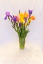 Bouquet of purple irises and yellow-pink tulips in a glass vase Royalty Free Stock Photo