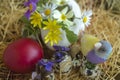 Multicolored Gouldian finch between blooming spring flowers and a red Easter egg.