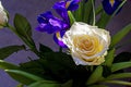 spring flowers with roses, irises and tulip on a gray background. Royalty Free Stock Photo