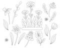 Spring flowers set - chamomile, daffodil, tulip, dandelion, violet and pussy willow. Vector drawing. line, outline. Ornamental