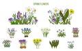 Spring flowers set crocus, scilla, primula