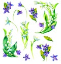 Spring flowers hand painted watercolor set: snowdrop, viola, may-lily Royalty Free Stock Photo