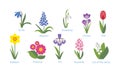 Spring flowers set. Vector illustration, icon in flat simple style. Royalty Free Stock Photo