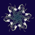 Spring flowers. Snowdrop flowers interlaced into an intricate circular ornament on a dark blue background. Art Nouveau