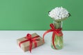 Spring flowers snowdrops in little transparent vase tired up with red ribbon, wrapped in craft paper gift box on green and white w Royalty Free Stock Photo