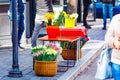 Spring flowers sold at market, beauty concept. Tulips and daffodils in street
