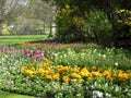 Spring flowers in St James Park Royalty Free Stock Photo