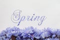 Spring flowers - text with blossoms