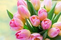 Spring flowers. Tulip bouquet on the bokeh background. Royalty Free Stock Photo