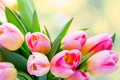 Spring flowers. Tulip bouquet on the bokeh background. Royalty Free Stock Photo