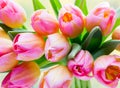 Spring flowers. Tulip bouquet on the bokeh background. Royalty Free Stock Photo