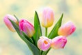 Spring flowers. Tulip bouquet on the bokeh background. Royalty Free Stock Photo