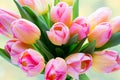Spring flowers. Tulip bouquet on the bokeh background. Royalty Free Stock Photo