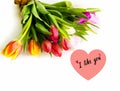 Spring flowers Tulip colorful festive  bouquet  and red hearts on blue background copy space template Royalty Free Stock Photo