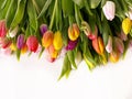 Spring flowers Tulip colorful festive  bouquet  on white  background copy space template Royalty Free Stock Photo