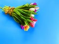 Spring flowers Tulip colorful flowers festive on   blue  bouquet Royalty Free Stock Photo