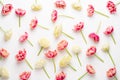 Spring flowers tulips on pastel colors background. Retro vintage style Royalty Free Stock Photo