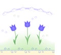 Spring flowers (tulips) pattern