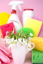 Spring flowers and and various detergents for cleaning the house on a pink background. Concept of spring cleaning. Close-up.