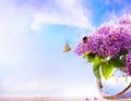 spring flowers in a vase and fly butterfly on sky background Royalty Free Stock Photo