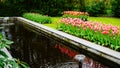 Spring flowers: a water pond surrounded with pink and orange tulips
