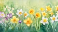 Spring Flowers Watercolor Painting Royalty Free Stock Photo