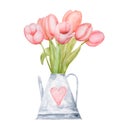 Spring flowers watercolor paintings