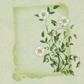 Spring flowers in white and yellow and green frame
