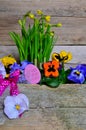 Spring flowers wood background Royalty Free Stock Photo
