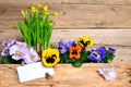 Spring flowers wood background Royalty Free Stock Photo