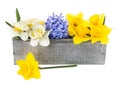 Spring flowers in wooden box