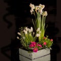 Spring flowers in a wooden planter.