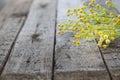 Spring flowers on wooden table. Mother's Day or Easter