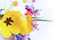 Spring flowers-yellow tulips, lilac chrysanthemums and white daffodils on a white background. Delicate flower arrangement.