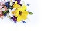 Spring flowers-yellow tulips, lilac chrysanthemums and white daffodils on a white background. Royalty Free Stock Photo