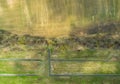Spring foggy aerial landscape. Aerial drone view of spring field with fog.