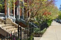 Spring Foliage in Boston Back Bay Royalty Free Stock Photo