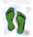 Spring footprint, spring step, foot print like grass on soil surrounded with melting snow, spring is coming idea