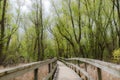 Spring footway in Toogood Pond Park Royalty Free Stock Photo