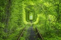 Spring forest around rail way tunnel