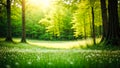 Spring. Forest and Beautiful meadow field with fresh grass in nature Summer spring perfect natural landscape Royalty Free Stock Photo