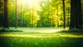 Spring. Forest and Beautiful meadow field with fresh grass in nature Summer spring perfect natural landscape Royalty Free Stock Photo