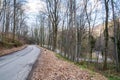 Spring forest cascade road and a blue sky