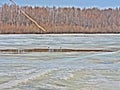 Spring forest on the coast of river with melting ice Royalty Free Stock Photo